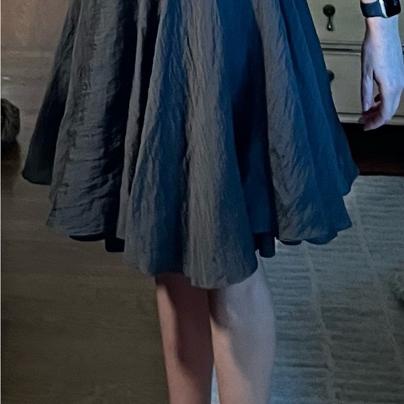 Ioanna Kourbela Gray Full Skirt Size Small - Picture 16 of 16